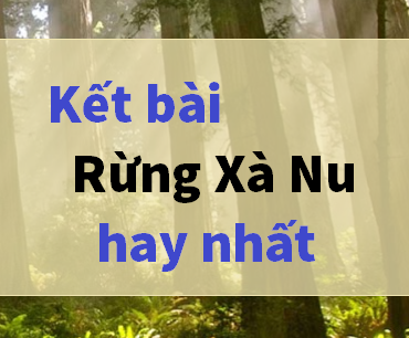 Kết bài rừng xà nu